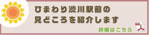 ひまわり渋川駅前の見どころを紹介します